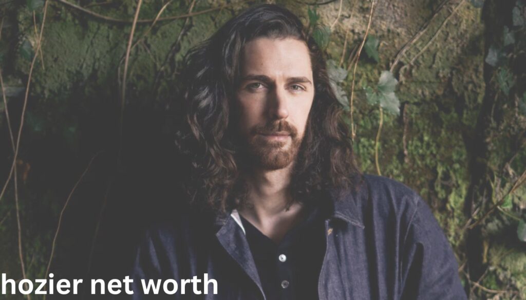 Social Hozier’s Wealth Compared to Other ArtistsProfile